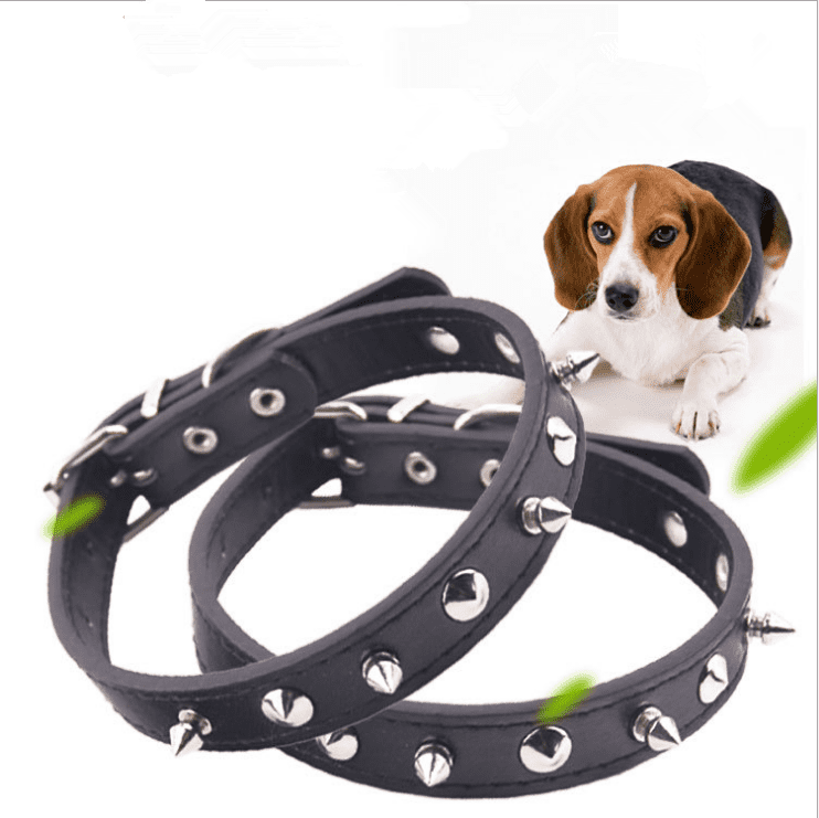 black studded cat collar