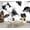 Black/White, variant on Peel and Stick Wallpaper Wall Murals Branches Leaves Flower Petals Buds Watercolor 69"H x 96"W Removable Wall Paper Self-Adhesive Wall Decor for Bedroom Living Room Nursery