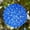Blue, variant on 6" Cool White LED Starlight Sphere Outdoor Hanging Ball Lights Christmas Balls, Wedding Lights, Outdoor Party Lights
