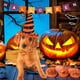 thumbnail image 4 of Collar para perro y gato de Halloween, 2 uds., con lazo, ajustable, cómodo, para perro de Halloween, 4 of 5