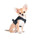 thumbnail image 2 of Pechera Arnés E-Pets Color Negro Talla Extra Chica Ajustable Antitirones, 2 of 4