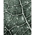 thumbnail image 2 of Kimberly, Allen 15x18 White Modern Wood Framed Museum Art Print Titled - Eco 2, 2 of 4