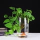thumbnail image 4 of Florero de tubo recto engrosado Acuario de vidrio Cilíndrico Sala de estar grande Florero de piso a piso Flor elevada con agua Adorno de vidrio transparente, 4 of 5
