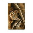 thumbnail image 4 of JML Non-Slip MicrofiberFabric & Rubber Doormat - Soft Entryway Rug for Home/Office (20"x32") - Easy Clean Door Mat for Indoor/Outdoor Use, Cat, 4 of 6