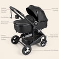 thumbnail image 6 of AILEEKISS 3-in-1 Convertible Baby Stroller with Big Seat and Adjustable Canopy, 24 Pound, Black, 6 of 13