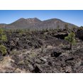 Noah Jigsaw Puzzle Lava flow in Sunset Crater Volcano National Monument near Flagstaff Arizona