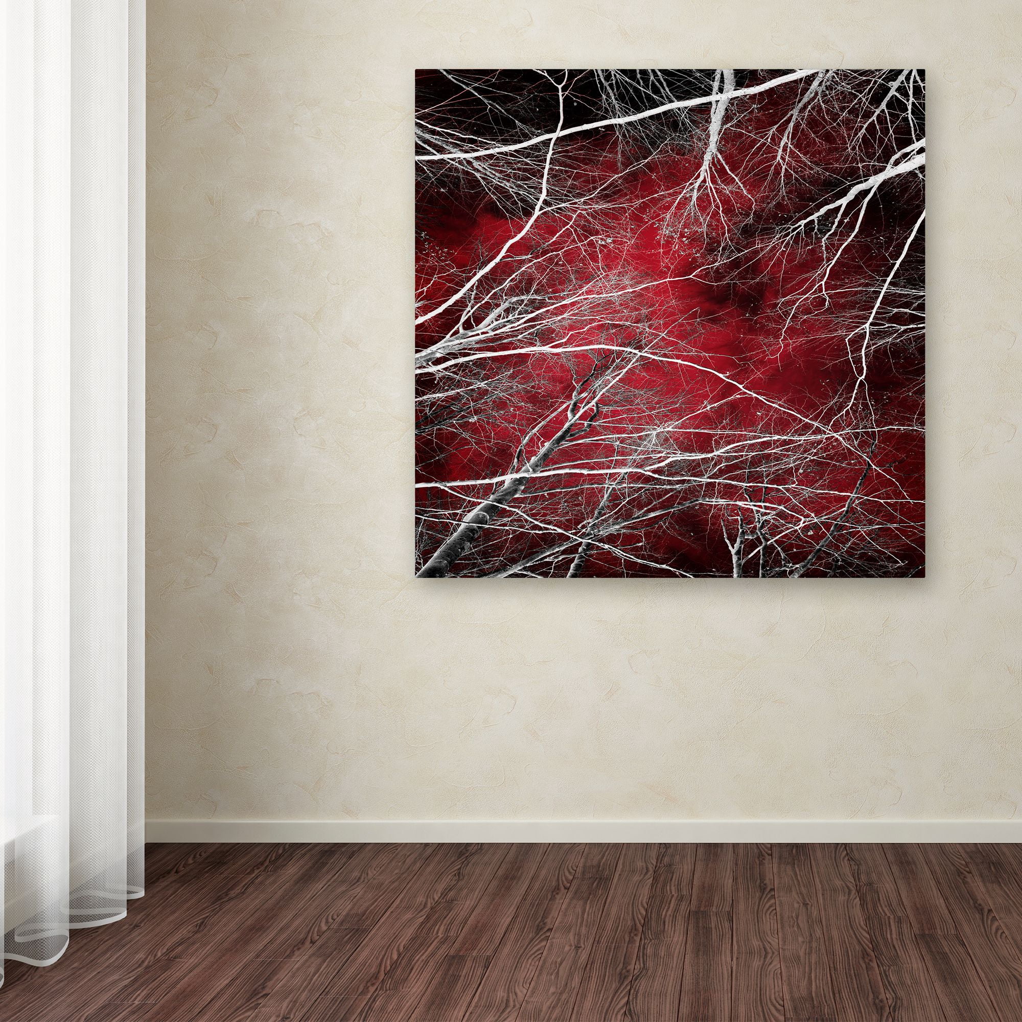 Trademark Fine Art "Fear" Canvas Art by Philippe Sainte-Laudy