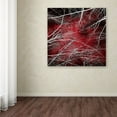 thumbnail image 4 of Trademark Fine Art "Fear" Canvas Art by Philippe Sainte-Laudy, 4 of 4