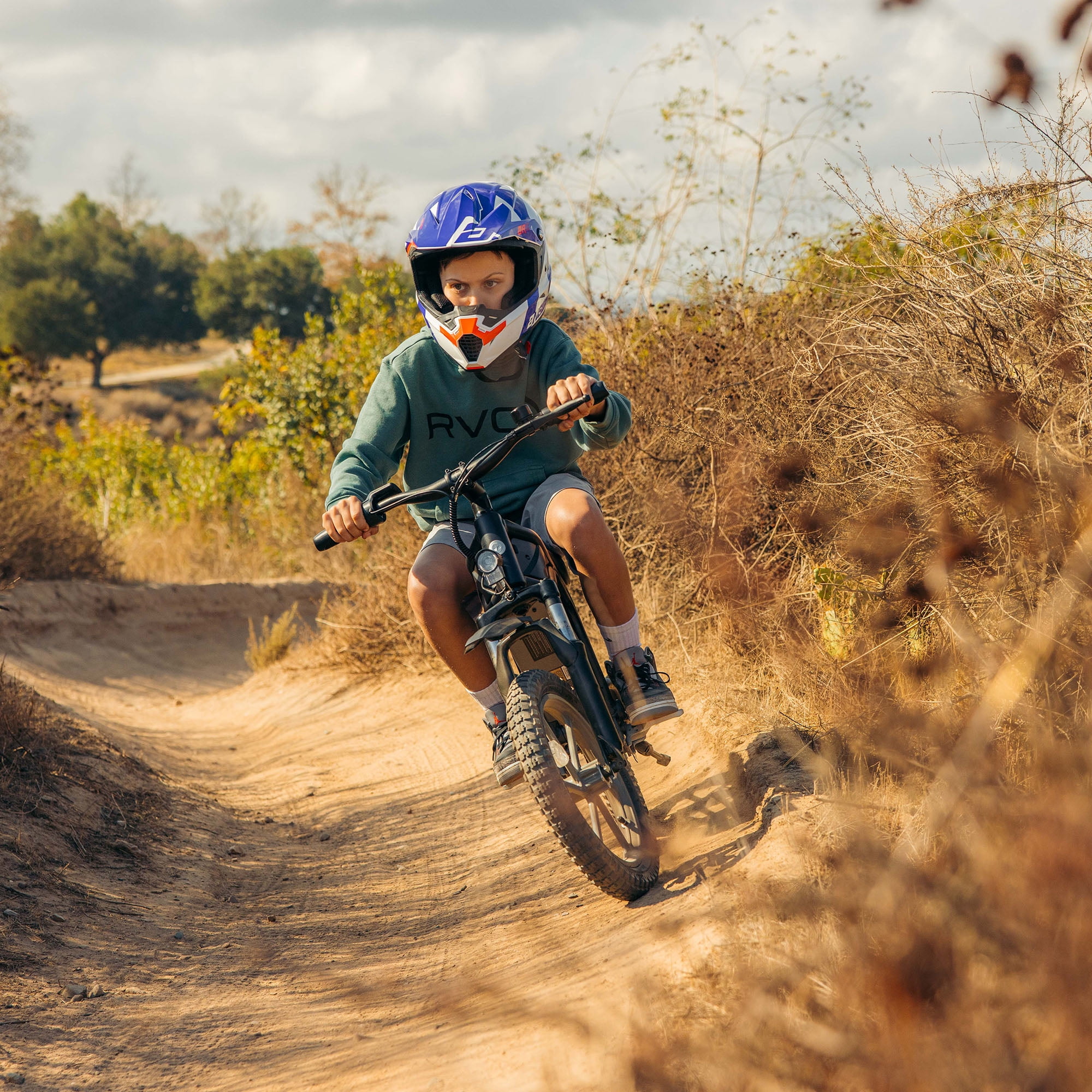 GOTRAX Fitz16 Electric Dirt Bike for Kids Ages 8+, 36V Battery,16-Mile Range, 16" Off-Road Tires, Dual Suspension,Red