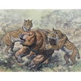 thumbnail image 2 of Smilodon dirk-toothed cats attacking a Glossotherium Poster Print, 2 of 2