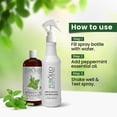 thumbnail image 4 of PUROLEO Peppermint Essential Oil With Trigger Spray Pump 16 Fl Oz/946 ML (Packed In Canada) 100% Pure Natural Undiluted, for Aromatherapy essential oils, 4 of 5
