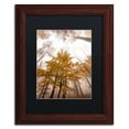 thumbnail image 2 of Trademark Fine Art "Foggy Days" Canvas Art by Philippe Sainte-Laudy Black Matte, Wood Frame, 2 of 5