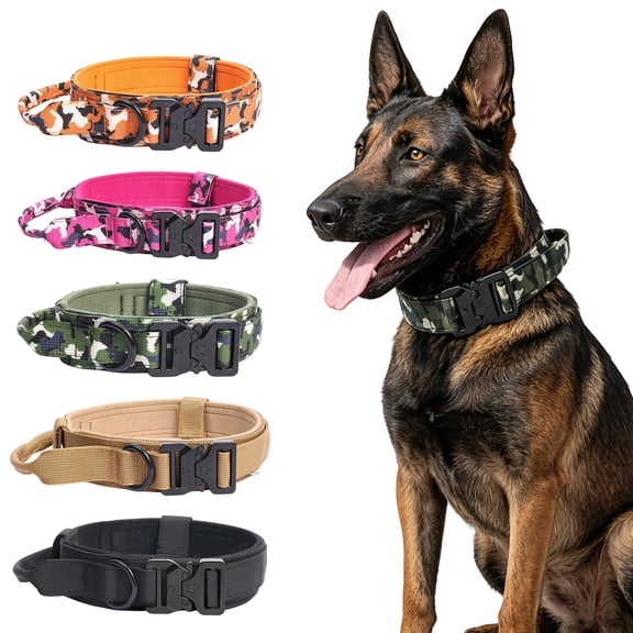 Dog Collar with Handle Heavy Duty Dog Collar Extra Large Dog Collar Wide Nylon Adjustable Collar for Dogs for Training Walking Daily Use Black, 1 Pack