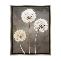 Stupell Industries Fluffy Dandelion Plants Wildflower Botanical Blooms Graphic Art Luster Gray Floating Framed Canvas Print Wall Art, Design by Kim Allen