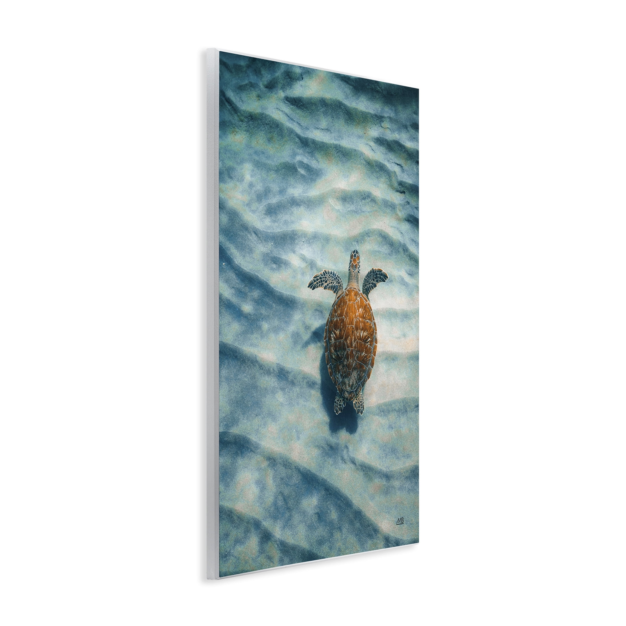 Stupell Industries Turtle Along Rippling Sand Animals Photography Unframed Art Print Wall Art, 13 x 19