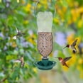 thumbnail image 3 of Lypsnake Soda Bottle Hanging Bird Feeder, Reusable Plastic Wild Bird Seed Feeder with Perch & Hanging Hook, Garden Bird Feeder for Attracting Finches Sparrows Backyard Patio Garden Bird Watching, 3 of 5