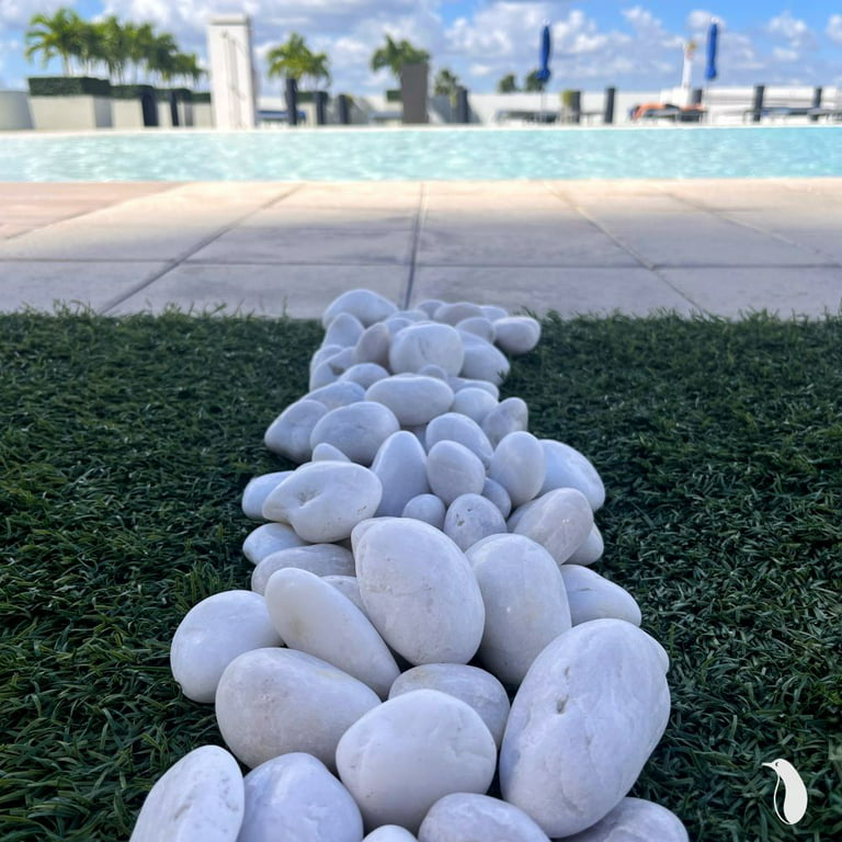 PGN White River Rocks for Plants - 15 Pounds - White Rocks with Smooth, Polished Surfaces - 1-3 inch Stones for Planters, Aquarium Decorations, Vase