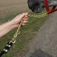 thumbnail image 2 of Schneiders Nylon Lead Rope with Brass Plated Chain | Rot-Resistant | 8 Feet | Burgundy, 2 of 3