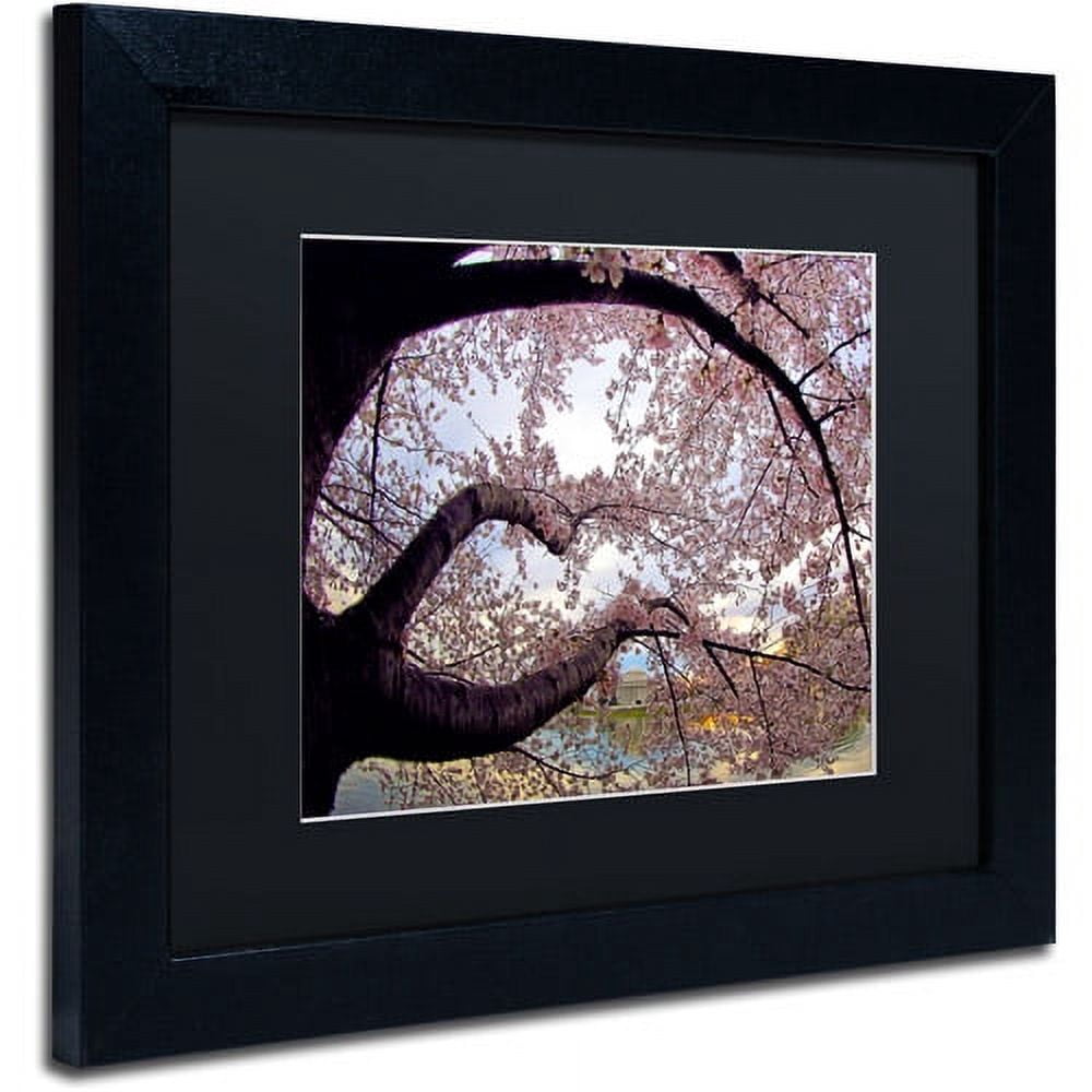 Trademark Fine Art "Cherry Blossoms 2014-1" Canvas Art by CATeyes, Black Matte, Black Frame
