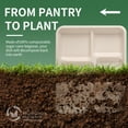 thumbnail image 6 of GPED 125 Pack 5 Compartment Disposable Plates, 10.25" x 8.25" Compostable Paper Plates Bulk, Biodegradable Sugarcane Bagasse Trays, Heavy-Duty School Lunch Trays for Party, Natural Brown, 6 of 7