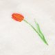 thumbnail image 2 of KAKOWELY Toalla de manos Tulip, de secado rápido, para cocina, baño y colgar., 2 of 4