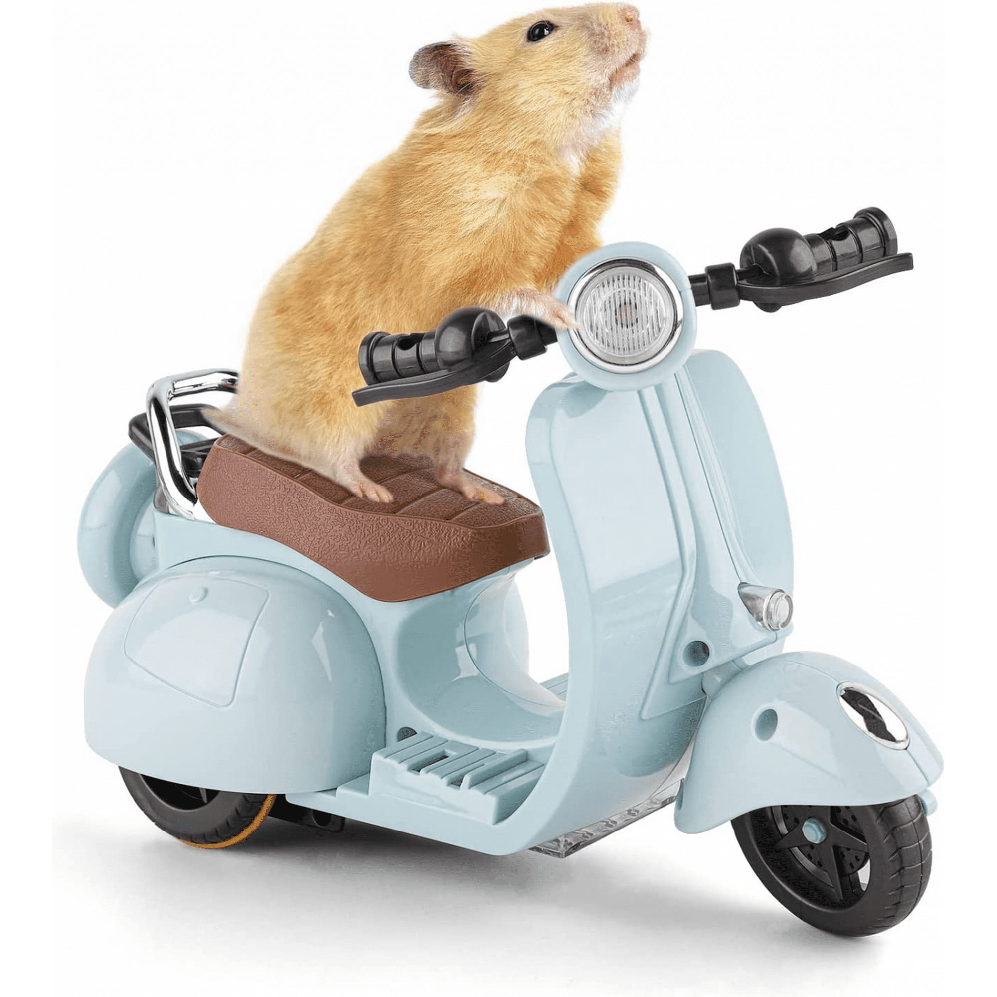 Fun hamster toys sales