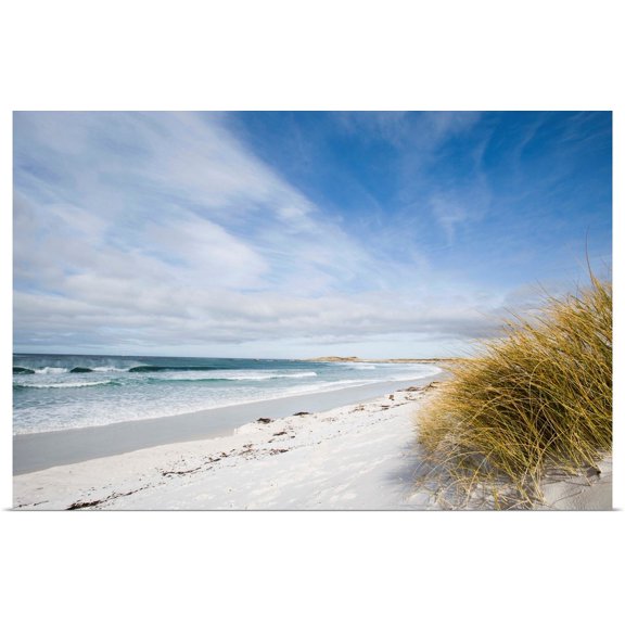 Great BIG Canvas | Rolled Toby Adamson Poster Print entitled Surf Bay Close To Port Stanley, Islaes Malvines