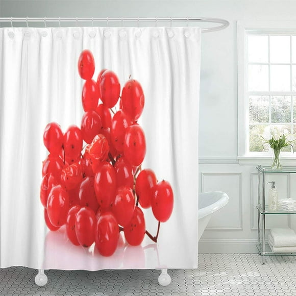 YUSDECOR Branch Berry Red Berries of Viburnum White Autumn Fruit Bathroom Decor Bath Shower Curtain 66x72 inch