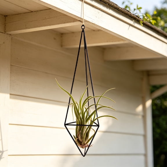 Geometric Metal Hanging Air Plant Holder Minimalist Wire Frame for Indoor Window Wall Bedroom Backyard Display Home Decor