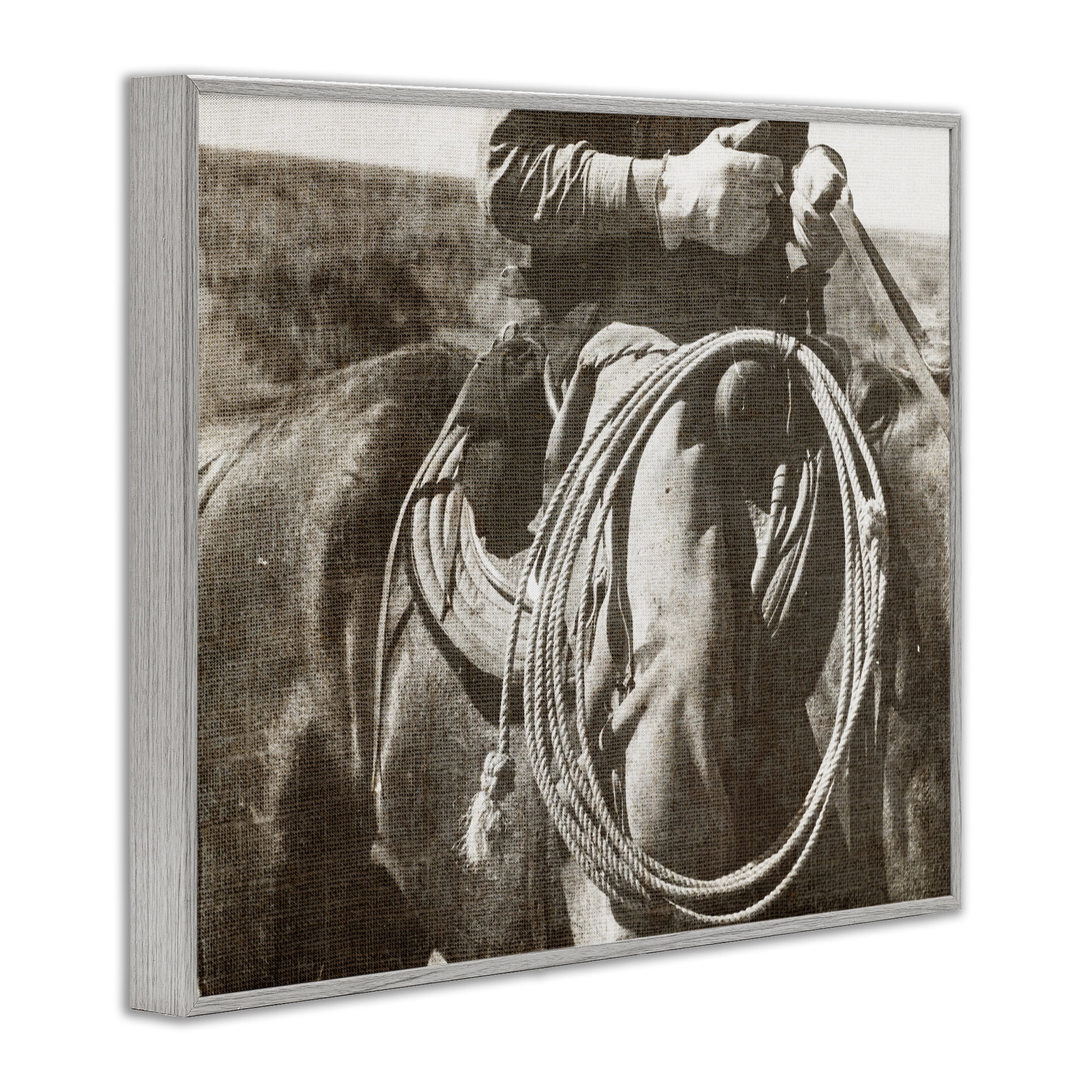 Stupell Industries Cowboy with Lasso Novelty Photography Gray Framed Art Print Wall Art, 30 x 24