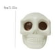 thumbnail image 2 of Juguete de Calavera con Ojos Explosivos, Gris, Aterrador y Antiestrés | Juguete Antiestrés de Descompresión | Juguete de Terror con Gusanos En Los Ojos | Regalo de Broma de Halloween para Adultos y A, 2 of 3