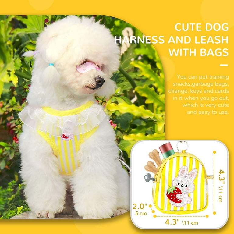 UETZLTB Small Dog Harness And Leash Set - No Pull, Step-In, Breathable Mesh With Cute Backpack