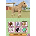 thumbnail image 2 of Petz Pony Beauty Pagent (Nintendo DS), 2 of 7