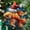 Trout Fish 3, variant on Tuna Fish 81 Ceramic/Acrylic Christmas Ornament, Mother Appreciation Tribute, Valentine Romance Accent for Couple, Thanksgiving Gratitude Accent, Keepsake 2025 Family Heirloom