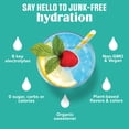 thumbnail image 5 of Ultima Replenisher, Electrolyte Drink Mix Packets, Sugar Free Daily Hydration Powder, Tropical Variety Pack, 8 Count Stickpacks, 5 of 10