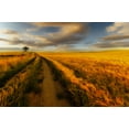 thumbnail image 2 of Krol, Piotr 18x13 White Modern Wood Framed Museum Art Print Titled - Yellow, 2 of 4