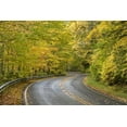thumbnail image 2 of Paulson, Don 32x23 Black Ornate Wood Framed with Double Matting Museum Art Print Titled - North Carolina Road through autumn forest, 2 of 4