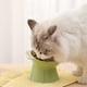 thumbnail image 1 of RKSTN Cat Bowls Pet Water Bowl Green, 1 of 7