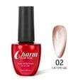thumbnail image 3 of New Crystal Cat Eye Series Nail Polish Gel Ice Transparent Silver White Wide Cat Eye Smoothie Moonstone Cat Eye Gel Polish, 3 of 5