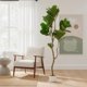 thumbnail image 2 of Yeshouse Higuera artificial de hoja de violín en maceta, planta grande de hoja de violín falsa para decoración de interiores, árbol alto en maceta artificial para sala de estar, oficina y entrada, 2 of 8