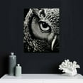 thumbnail image 4 of Nawypu  Canvas Wall Art Owl Eyes Canvas Print Artwork Black And White Animals Wall Art Paintings Framed Ready to Hang for Living Room Dinning Room Bedroom Bathroom Home Decor, 4 of 4