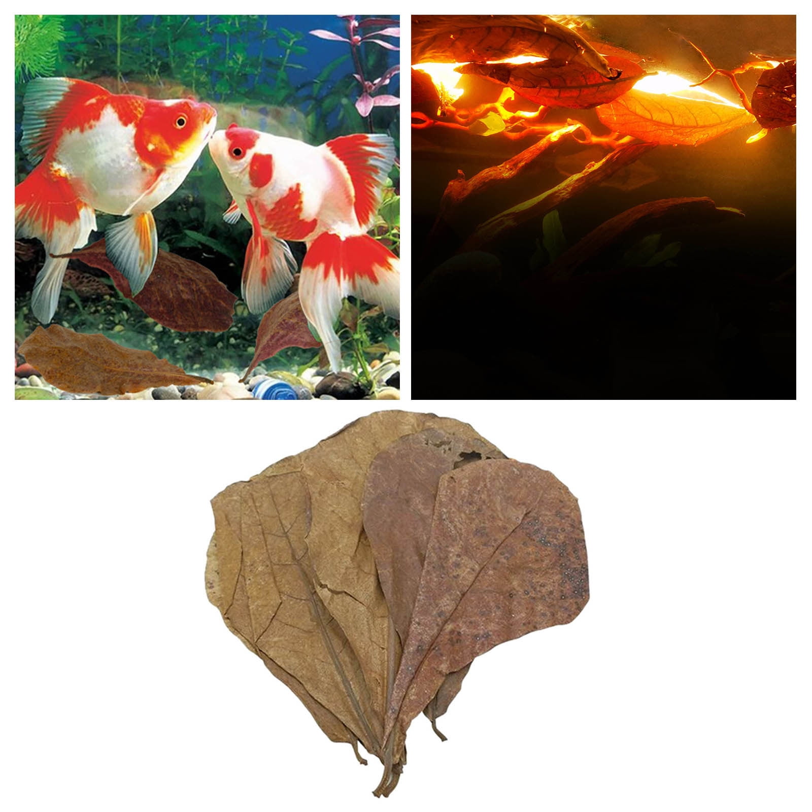 Natural Water Purification Tablets and Catappa Leaves for Aquarium Fish Tank Environment