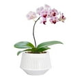 thumbnail image 2 of SPRING Flower Pot Root Control Breathable Double Layer Flower Pot Plastic Resin Pot, 2 of 9