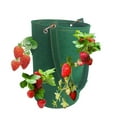 thumbnail image 1 of Labymos 15 x 9 Inch Strawberry Grow Bags with 8 Grow Holes Hanging Planter Box, 1 of 8