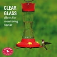 thumbnail image 6 of Perky-Pet 16 oz Pinch-Waist Glass Hummingbird Feeder, 4 ports, 6 of 11
