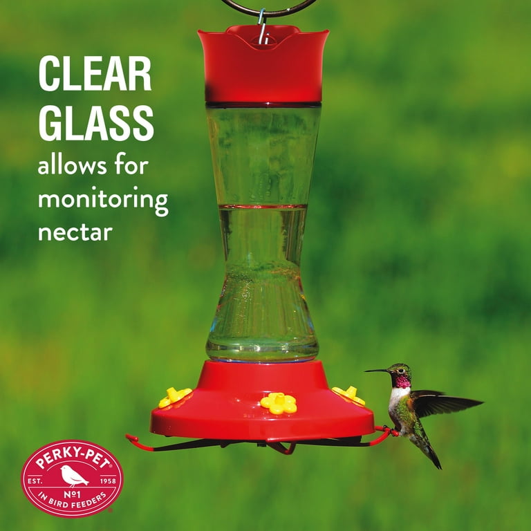 Perky-Pet Hummingbird 16 oz. Glass Nectar Feeder 4 ports Perky-Pet Hummingbird 16 oz. Glass Nectar Feeder 4 ports