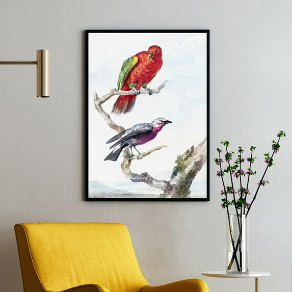 Two Birds, Including a Red-Green Parrot - ca. 1720–1792 | Aert Schouman | Premium Fine Art Print | 18th Century Dutch | Baroque, Dutch Golden Age | Portrait | Nature Art