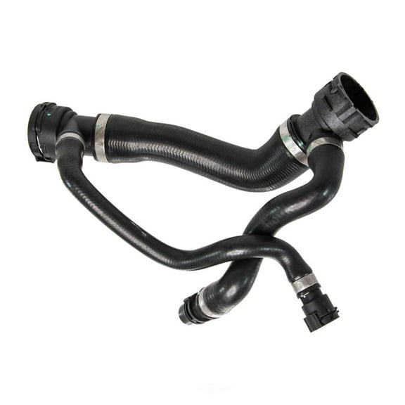 Rein Molded Radiator Hose