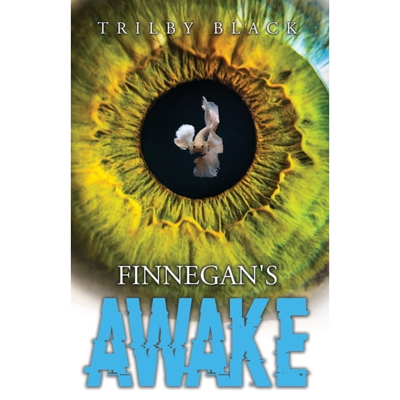 Finnegan's Awake, (Paperback)
