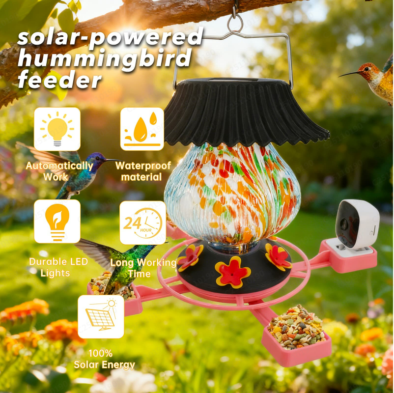 Hummingbird Feeder with Camera Solar Powered 1080P-, Automatically Identifies Species of Bird, Auto Recording, Leak-Proof Ant & Bee Proof Outdoor Hanging Feeder, for Bird Lovers